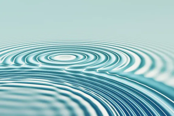 Casino Bonanza Game Suporte